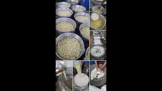 Rasgulla Making Factory In Bikaner 😱 Amazing Process