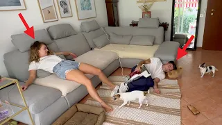 FINGIAMO DI MORIRE DAVANTI AI NOSTRI CUCCIOLI