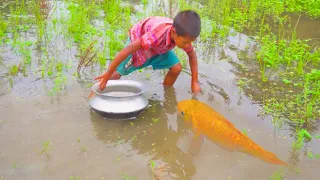 hand fishing videos - amazing hand fishing - hand fishing from mud water part -24