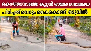 Here is 'Vava Suresh' from Thailand; Catching a Giant cobra with bare hands