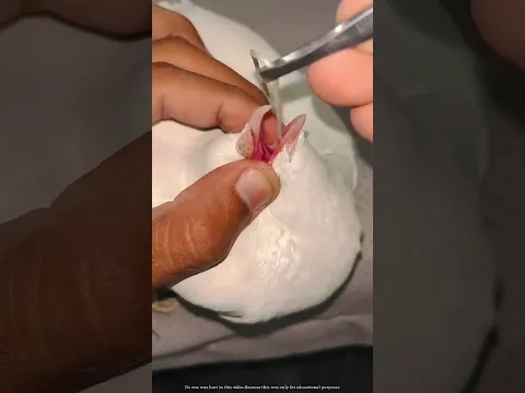 #bts
