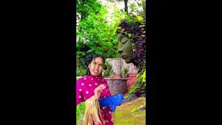 Cutiee Happy Life Live Stream