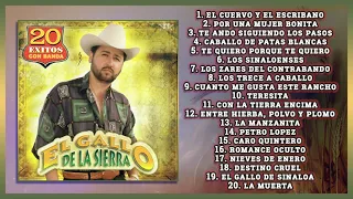 El Gallo De La Sierra 20 Exitos Con Banda | DISCO COMPLETO