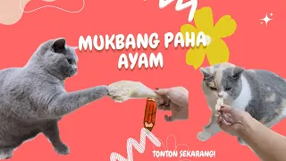 MUKBANG PAHA AYAM DD PUM & MAMA LALA