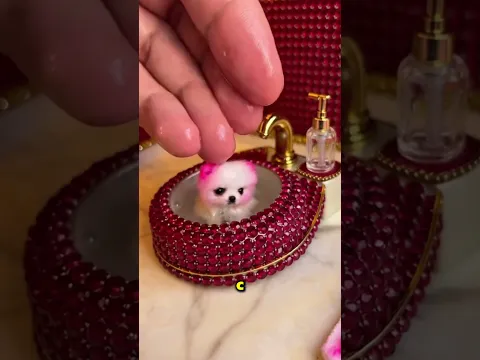 Никто не думал, что этот маленький щенок выживет 🥺❤️