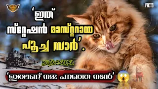 സ്റ്റേഷൻ മാസ്റ്ററായ പൂച്ച സർ 😻🙀😱 | Malayalam facts | Knowledge  #facts #short #cat #malayalam