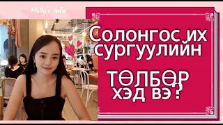 Солонгост сурахын тулд 1 жилд хэдэн төгрөг зарцуулах вэ? Төлбөр? Дотуур байр?