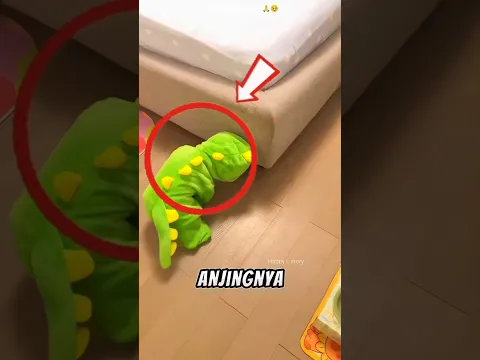 GARA-GARA BAJU SAMA, IBU INI SAMPAI SALAH BEDAIN ANAK DAN ANJING! 😱 #shorts