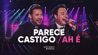 João Bosco & Vinícius  - Parece Castigo / Ah É (DVD JBEV21InConcert)