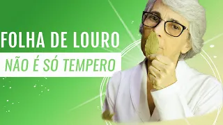 Entenda Como O Chá De Louro Transforma Sua Saúde!