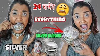 I used SILVER THINGS for 24 HOURS - এ কেমন ভয়ঙ্কর খাবার ?? Extreme SILVER FOOD CHALLENGE - India