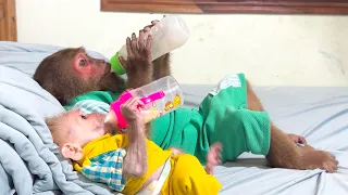 So Funny 😂 Buem Copies CUTIS’s Milk Drinking Style