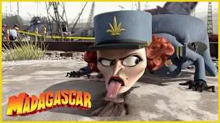 DreamWorks Madagascar en Español Latino | La Capitán Dubois Está de Caza | Madagascar 3