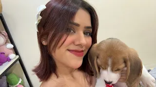 Mera naya doggo💕