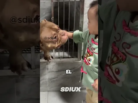 Esto es Amor a Primera Vista 🥺💞