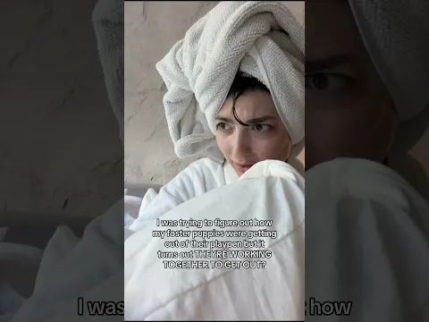 I’m impressed