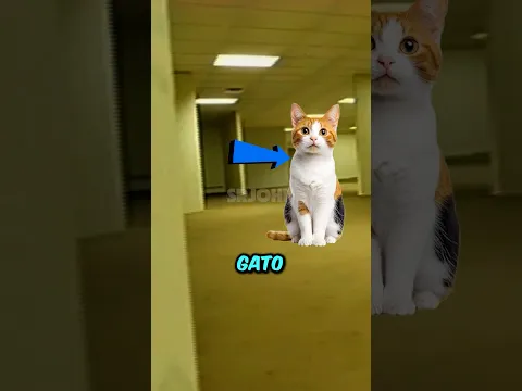 UM GATO CAIU NAS BACKROOMS!!