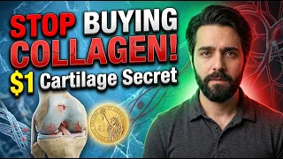 Cheap Gelatin vs Expensive Collagen: What Cartilage Actually Needs