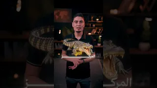 اكثر حيوان بيحب طعم البشر!