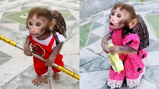 Lovely moments of Pika monkeys and other animals. P35