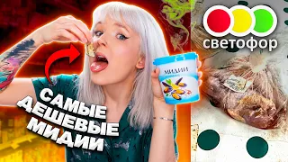 ТЕСТ САМОЙ ДЕШЕВОЙ ЕДЫ из МАГАЗИНА СВЕТОФОР!🚦НАШЛА ЕВРОПЕЙСКИЕ ПРОДУКТЫ! 😧