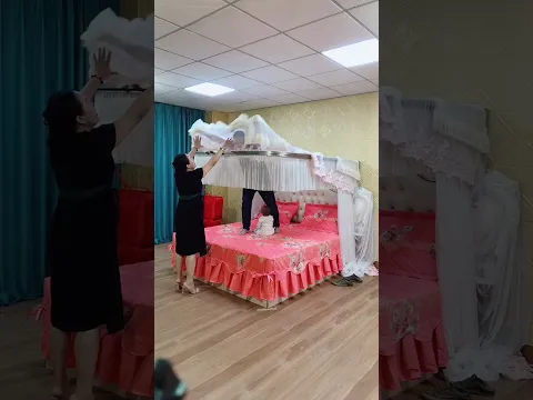 amazing mosquito to bed #shortvideo