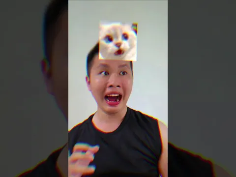 #filter : Meme Cat Test (App :Tiktok)