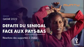 Qatar 2022  | Senegal 0 - 2 Pays Bas - Défaite amère pour les coéquipiers de Sadio Mané