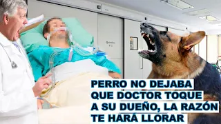 Perro Impide Que Desconecten a Su Dueño y Todos Quedan Sorprendidos, La Razón Te Hará Llorar.