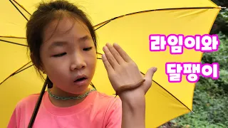 라임이는 산에서 달팽이를 발견했어요! [롤롤라임]