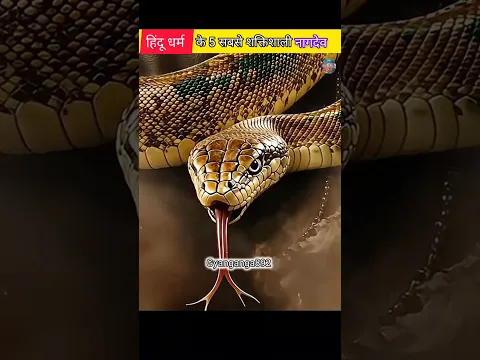 हिंदू धर्म के 5 सबसे शक्तिशाली नाग😨#krishna #mahadev #naag #facts #shorts #youtubeshorts #viralvideo