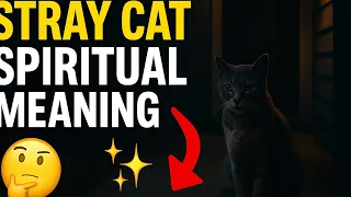 Stray Cat at Your Door? Don’t Ignore THIS Spiritual Meaning!