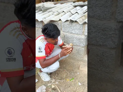 நாய் குட்டி ய தாய் நாய் பாக்க விடலை😖#petsvlog #petsvedios #petsvlogger #petscorner #tirunelveli #yt