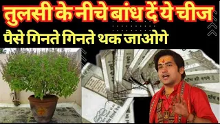 तुलसी के नीचे बांधे यह चीज रातो रात हो जाओगे मालामाल | बागेश्वर धाम सरकार | Tulsi puja