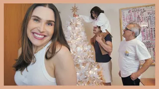 Montamos nossa ÁRVORE DE NATAL! | Lu Ferreira