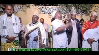 daawo digri uweeysiyo aad umcn xaaji Armiye daawasho wcn