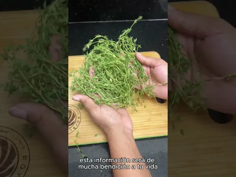 esta hierba es la mas poderosa que existe