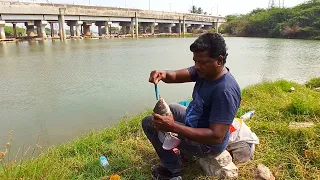 Jackpot Fishing!🤩 Big Tilapia Fishing with Bamboo Stick | Eel Fish in Village |Hook Fishing in Worms