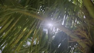 Paradise on Tap – Aruba’s Delicious Drinking Water