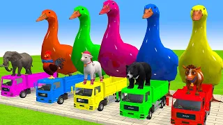 Funny Long Slide Game Animals Compilation - 3d Animal Game - Funny 3d Animals
