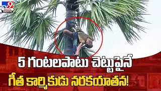 5 గంటలపాటు చెట్టుపైనే గీత కార్మికుడు నరకయాతన! @TV9TeluguDigital