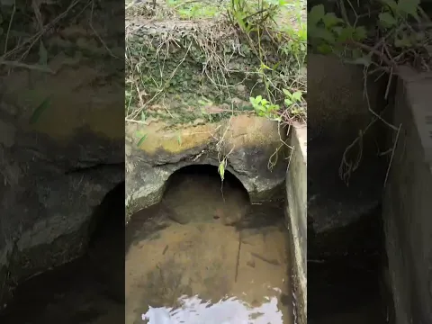 the beauty of nature - You didn't think it was that beautiful #satisfying