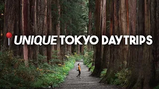 20 Unconventional Places Near Tokyo You've Never Heard Of - Public Transport Accessible!