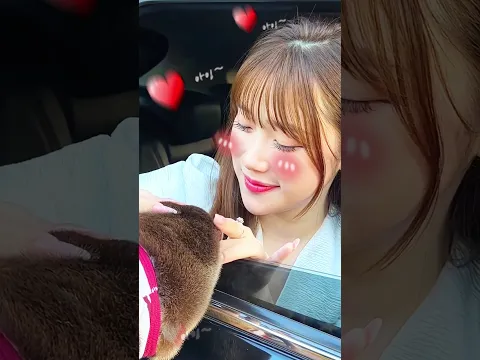 Sad Otter Finally Gets Love 🥺🦦