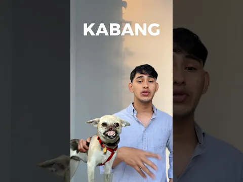 KABANG - LA PERRITA QUE SALVÓ A 2 NIÑAS