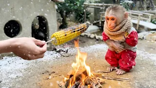 Monkey Annie helps dad take care of the farm and make grilled corn to prepare for Christmas
