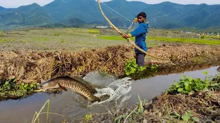 😲The most popular fishing video | Amazing arrow bow fishing in Water drain