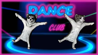 Cat and dog dancing in the dance club