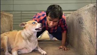 Kutte ko Bhoot samjha | Bhoot ki koi izzat nahi hai 👻