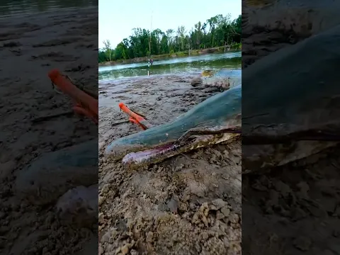 Pulling the hook out is satisfying!